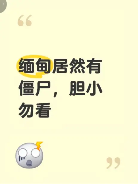 《缅甸僵尸出土事件》高清视频在线观看-揭秘缅北僵尸出土事件现场全程录像-缅甸僵尸出土事件无删减免费播放
