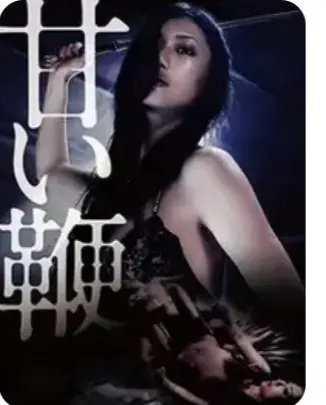 《甜蜜皮鞭》HD高清完整版在线观看-中文字幕未删减版免费播放-日本经典剧情片甜蜜皮鞭1080P超清画质