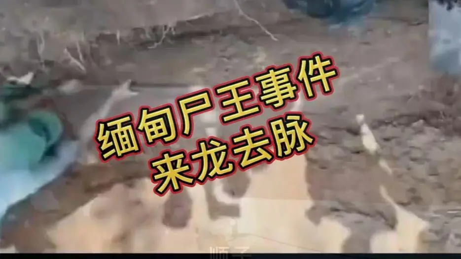 《缅甸僵尸出土事件视频》完整版资源下载 - 诡异真相解密高清在线观看 - 缅北僵尸出土事件始末原视频超清未删减全程录像