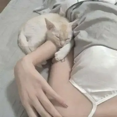 《森泽佳奈》高清全集未删减中文版免费在线观看无广告网盘下载 - 森泽佳奈1080P蓝光无水印 - 森泽佳奈百度网盘夸克迅雷高速资源